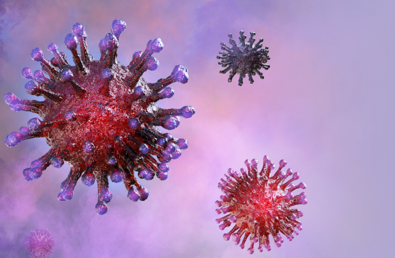 CoronaVirus_(compressed)2.PNG