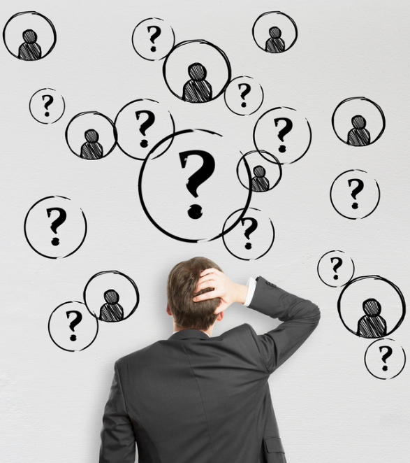 Employment_questions_(compressed).PNG