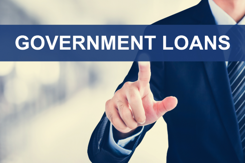 Government_Loans_(compressed).PNG