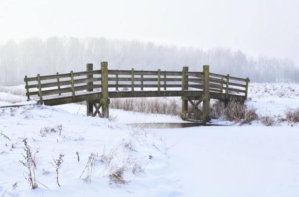 Common land and the rights exercised over common land