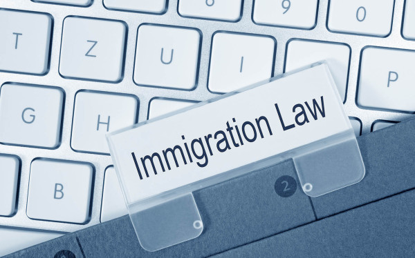 Immigration Law Image